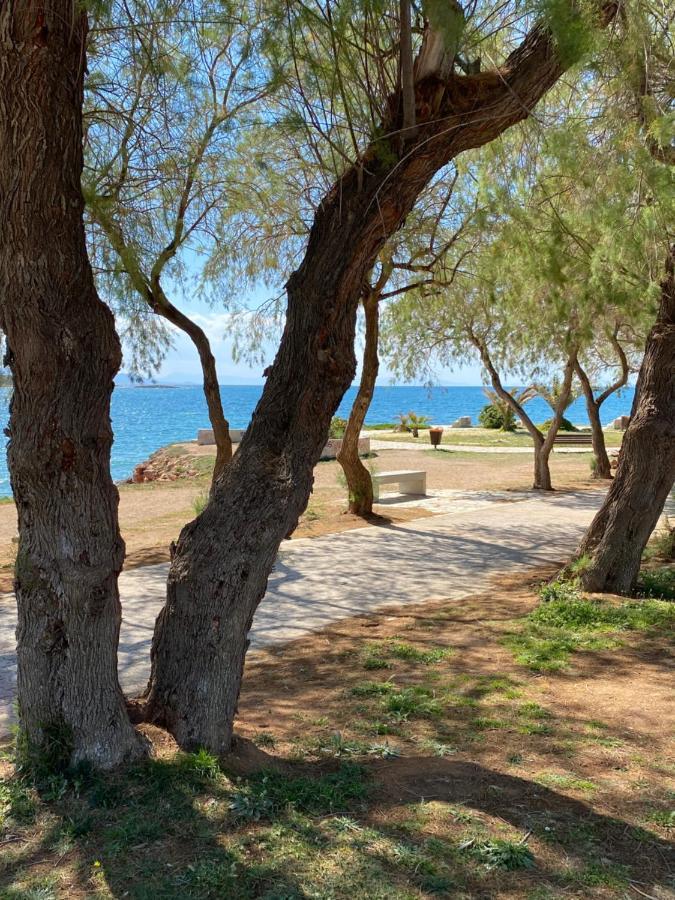 Athens-Riviera Luxury Apartment Sea View Voula Екстер'єр фото