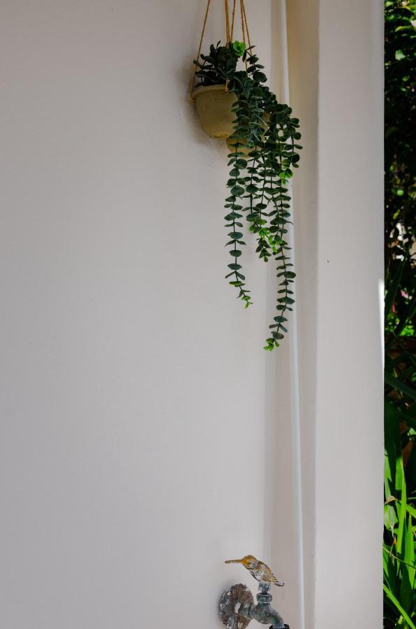 Athens-Riviera Luxury Apartment Sea View Voula Екстер'єр фото